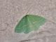 IMG_20190617_003534 - Copia.jpg