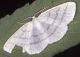 img232mod1.jpg