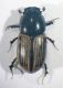 2019-07-21-09.50.39 ZS PMax.jpg