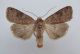 DSC01215.JPG