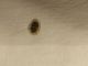 IMG-20190903-WA0026-1024x768.jpg
