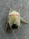 DSCN6378.JPG