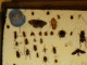 Immagine 214.gif