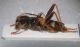 DSCF2394.JPG