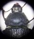 20191007_152850.jpg