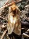 DSCN6705.JPG
