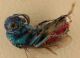 Chrysididae 201908b.jpg