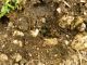 DSCN6066.jpg
