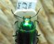 6-DSCN8958-okit.jpg