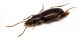 Comb2882cr-71zL6.jpg