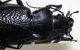carabus2.jpg