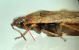 DSC01561.JPG