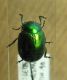 1-DSCN9044,okit.jpg