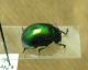2-DSCN9043,okit.jpg