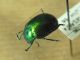 3-DSCN9045,okit.jpg