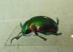 2-DSCN9052,okit.jpg