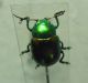 3-DSCN9054,okit.jpg