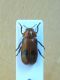 1-DSCN9103,okit.jpg
