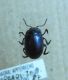 1-DSCN9172,okit.jpg