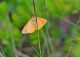 DSC_1469.jpg