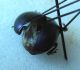 6-DSCN9239,okit.jpg