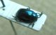 1-DSCN9253,okit.jpg