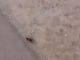 20191201_120437-compressed.jpg