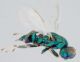 2017-10-05 18-50-16 (B,Radius2,Smoothing1)12.JPG