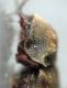 DSC01923.JPG