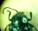 5-DSCN9453,okit.jpg