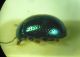 3-DSCN9473,okit.jpg