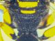 WIN_20200125_17_56_56_Pro.jpg