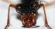 therates3.JPG