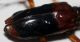 therates6.JPG