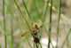 Fiume Sosio - 10-07-2018 12-21-044.JPG