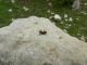 DSCN6027.jpg