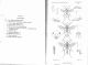 - - - -  BERTHOUMIEU - Ichneumoninae - Pl. 5 - larg. 1500 - h. 1119  .jpg