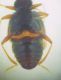DSCN0513.JPG