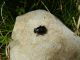 DSCN6082.jpg