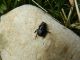 DSCN6081.jpg