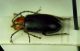 2-DSCN9832,okit-2.jpg