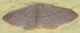 Tempio11VI19 007mod.jpg