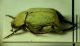 4-DSCN0296,okit.jpg