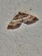IMG_20200410_113007 - Copia.jpg