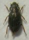 DSCN4382.JPG