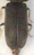 DSCF5079.JPG