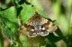 DSC_4811-2.jpg