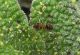 IMG_20200510_150510.jpg