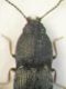 DSCF7059.JPG