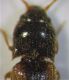DSCF7088.JPG